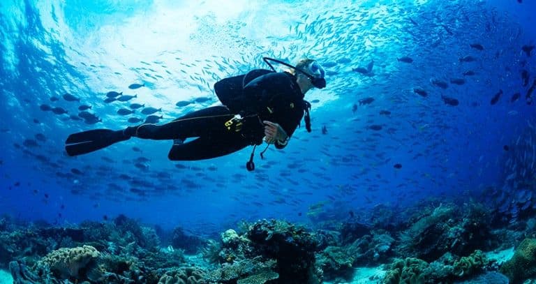 A diver gliding through a school of fish over the reef