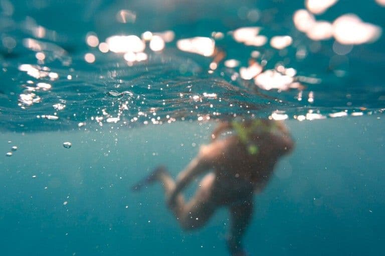 A swimmer at the surface with the sun breaking across the water