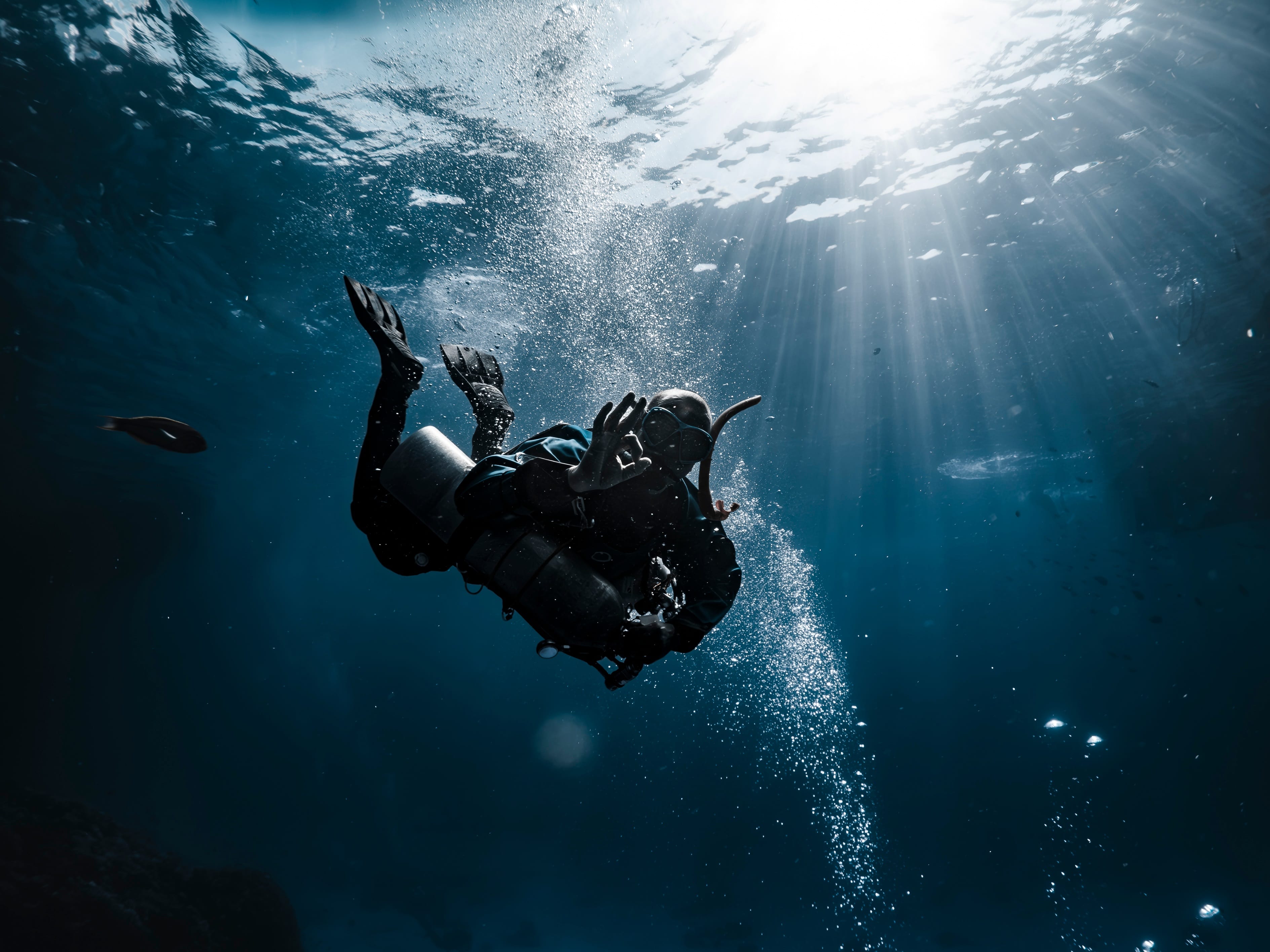 A scuba diver descending through shafts of sunlight
